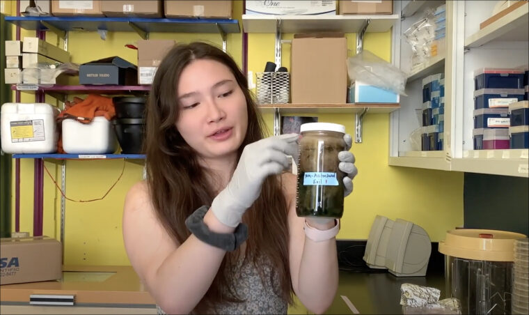 bacteria1